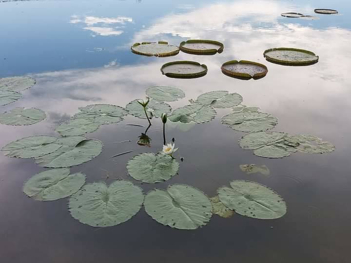「凡夫的我」遇上「念佛的我」