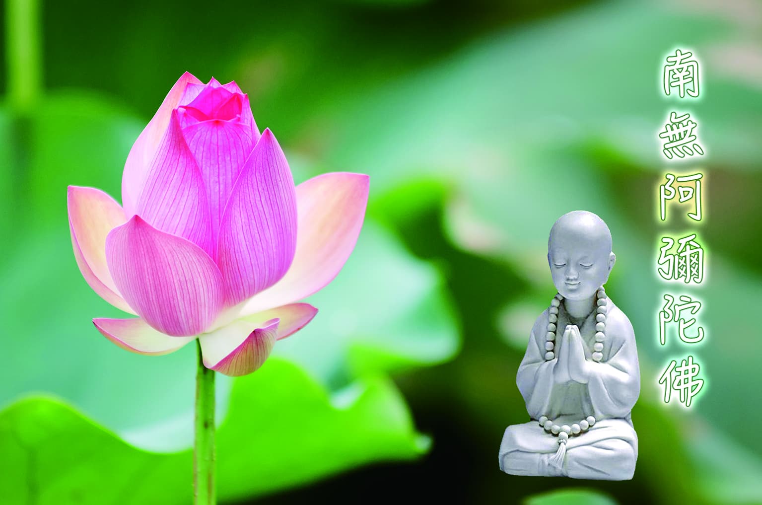 蓮花與佛像