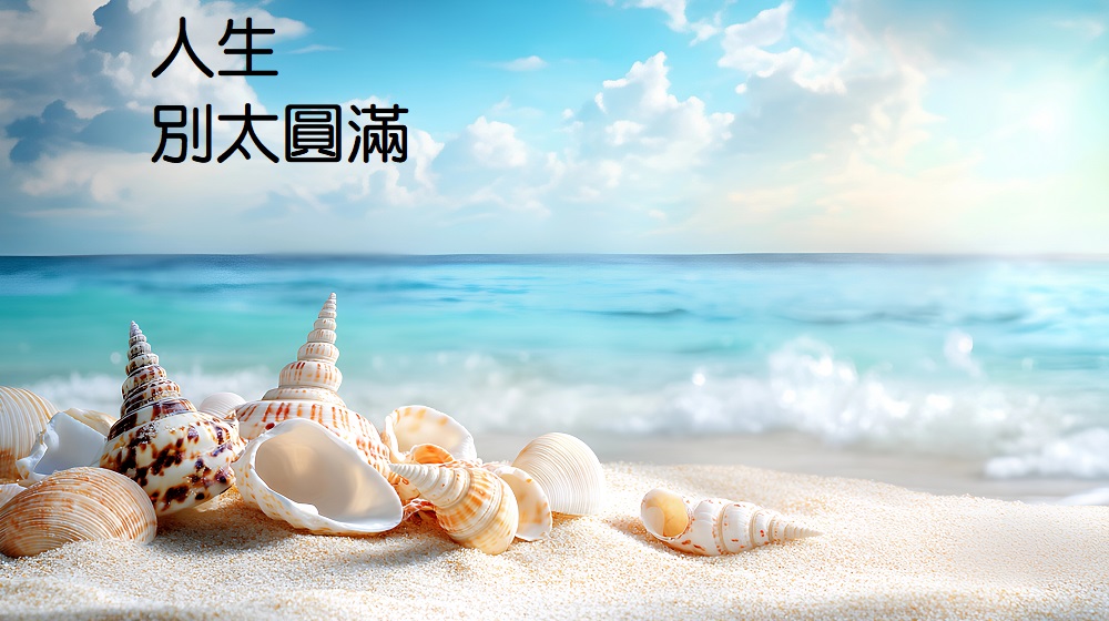 海灘貝殼