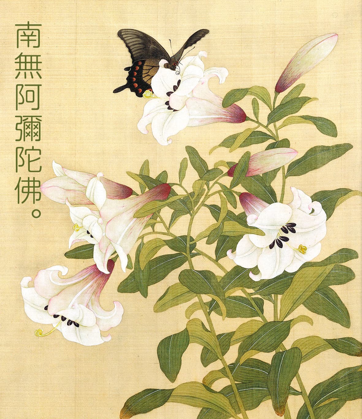 花朵與蝴蝶插畫