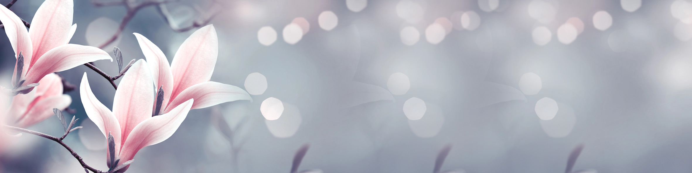 頁面 113 裝飾圖片