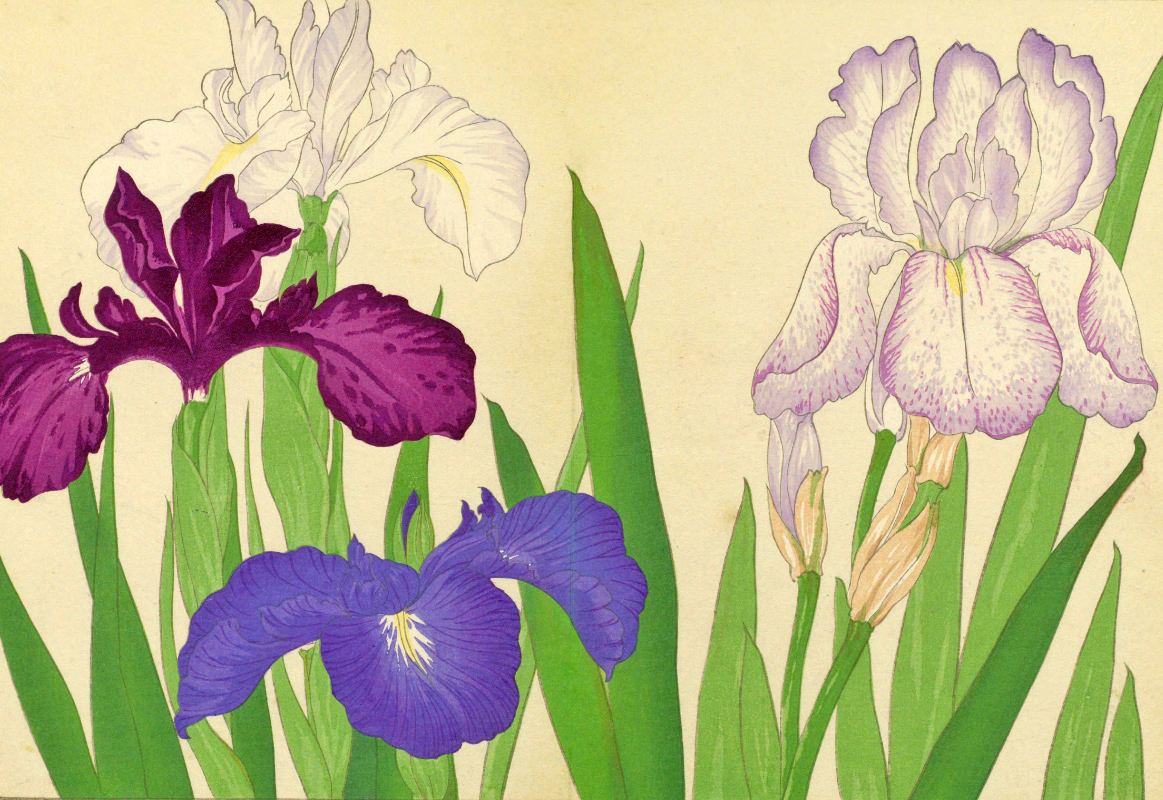 頁面47第二張圖片