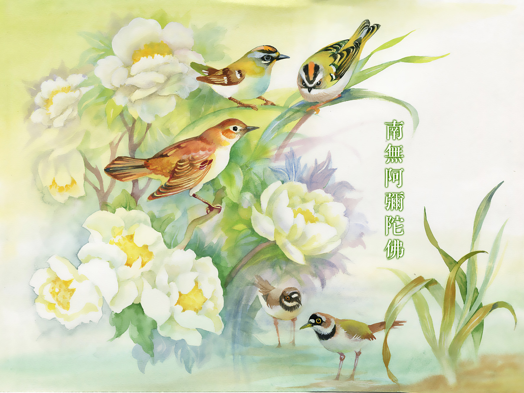 page84圖片