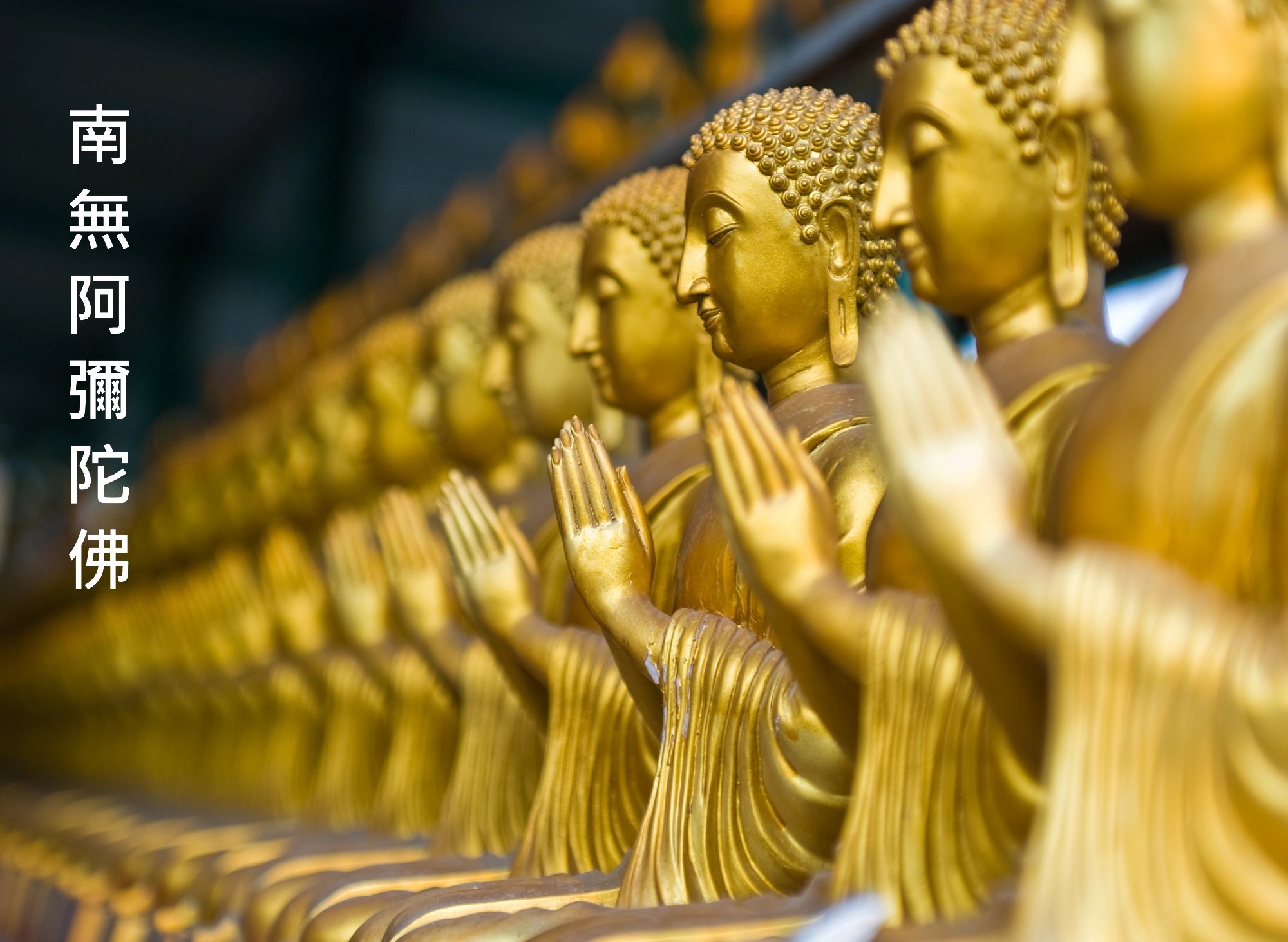 南無阿彌陀佛