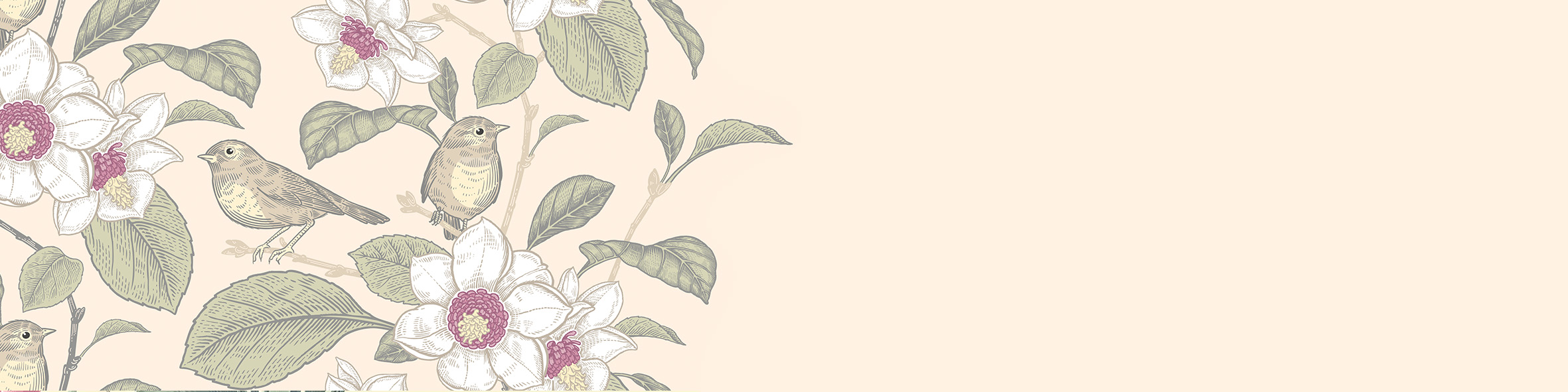 春天，我看不見 - 插圖