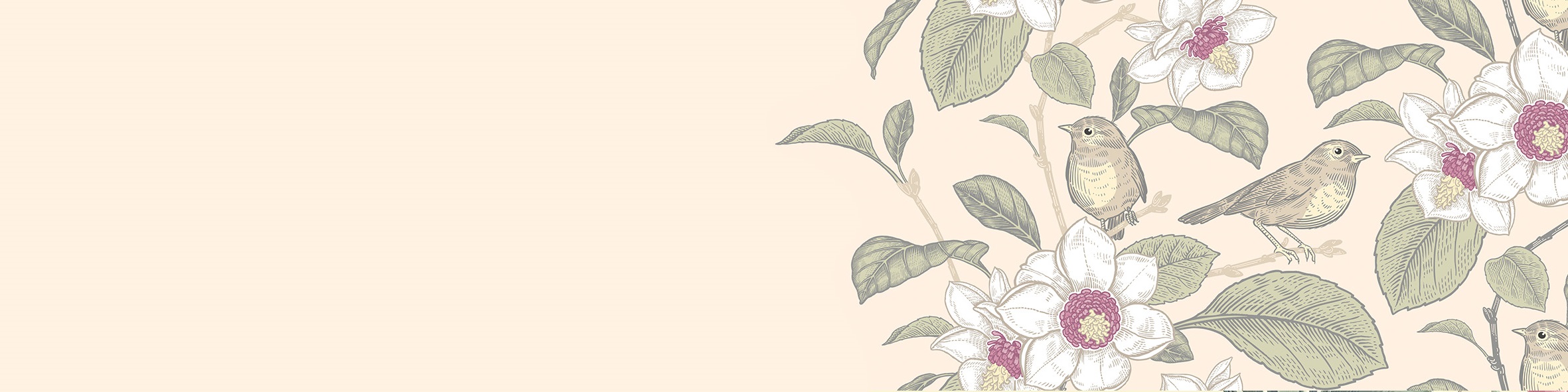 春天，我看不見 - 插圖 1